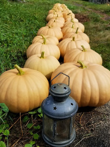 Pic