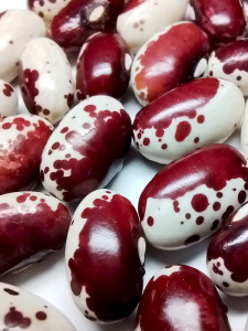 pic