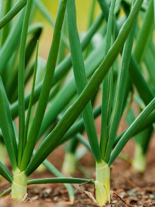 pic